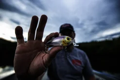 Strike King Hybrid Hunter Jr Crankbait| Hard Baits