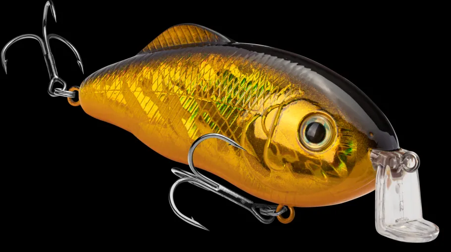 Strike King Hybrid Hunter Shallow| Hard Baits