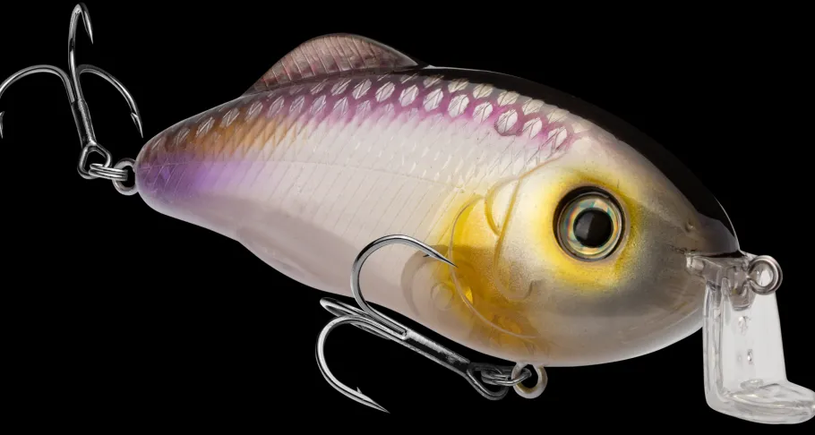 Strike King Hybrid Hunter Shallow| Hard Baits