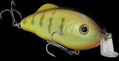 Strike King Hybrid Hunter Shallow| Hard Baits