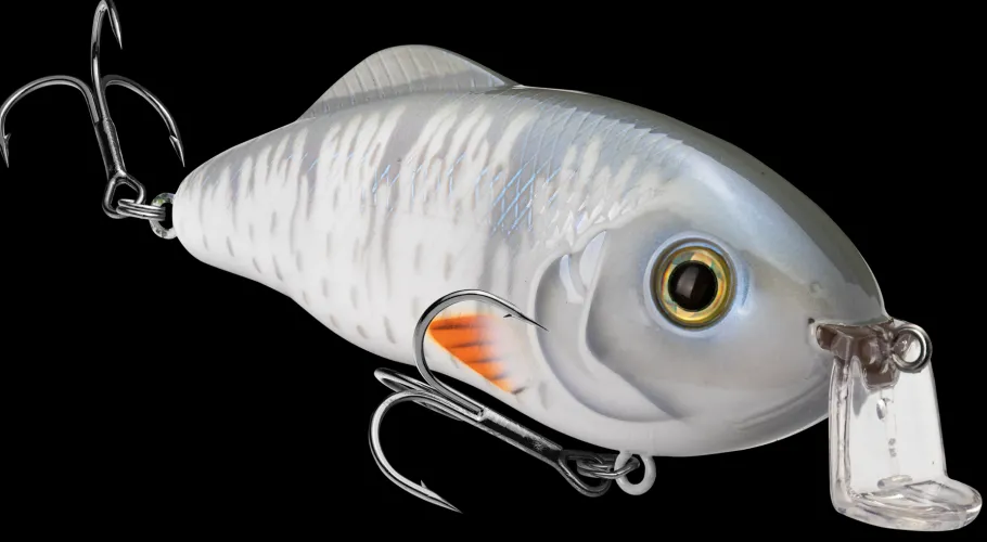 Strike King Hybrid Hunter Shallow| Hard Baits