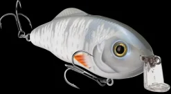 Strike King Hybrid Hunter Shallow| Hard Baits