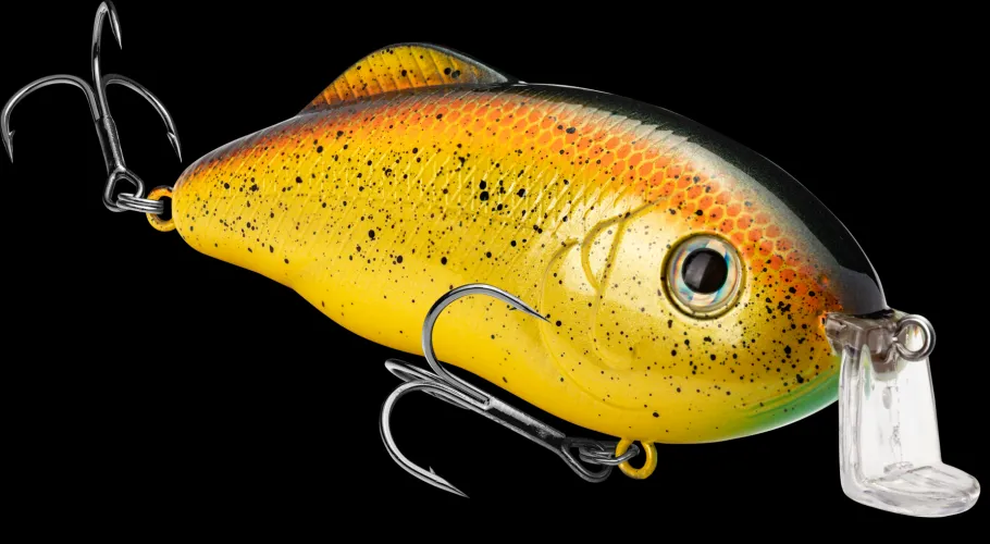 Strike King Hybrid Hunter Shallow| Hard Baits