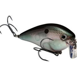 Strike King KVD 2.5 Wake Bait| Hard Baits
