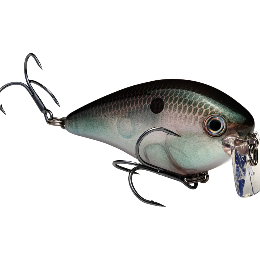 Strike King KVD 2.5 Wake Bait| Hard Baits