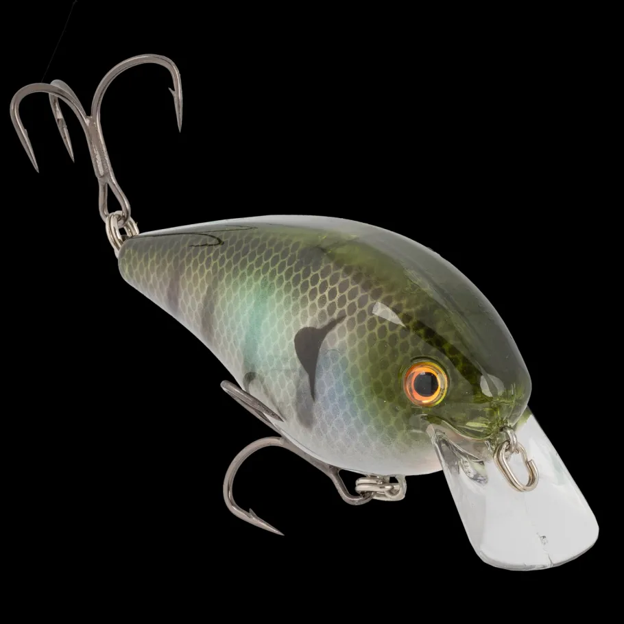 Strike King KVD Elite 8.0| Hard Baits