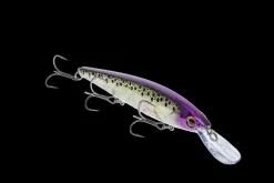Strike King KVD Elite 300 Deep Jerkbait| Hard Baits