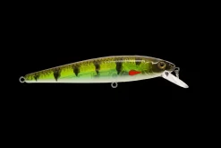 Strike King KVD Elite 200 Jerkbait| Hard Baits