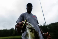 Strike King KVD Jerkbait 100| Hard Baits