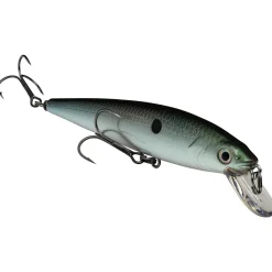 Strike King KVD Jerkbait 200| Hard Baits