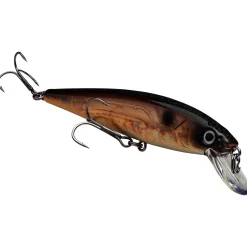 Strike King KVD Jerkbait 200| Hard Baits