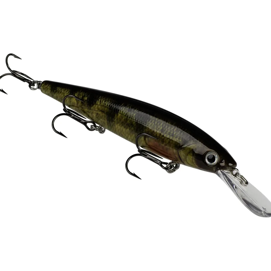 Strike King KVD Jerkbait 300 Deep| Hard Baits