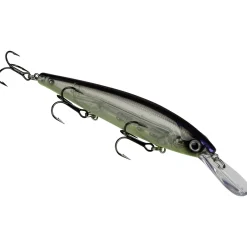 Strike King KVD Jerkbait 300 Deep| Hard Baits