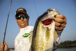 Strike King KVD Perfect Plastics Ocho| Soft Baits