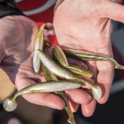 Strike King KVD Perfect Plastics Swim'n Caffeine Shad| Soft Baits