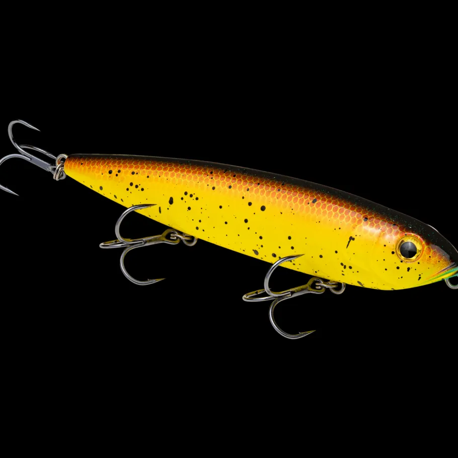 Strike King KVD Sexy Dawg Hard Knock Topwater| Hard Baits