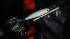 Strike King KVD Sexy Dawg Jr Topwater| Hard Baits