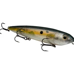 Strike King KVD Sexy Dawg Topwater| Hard Baits