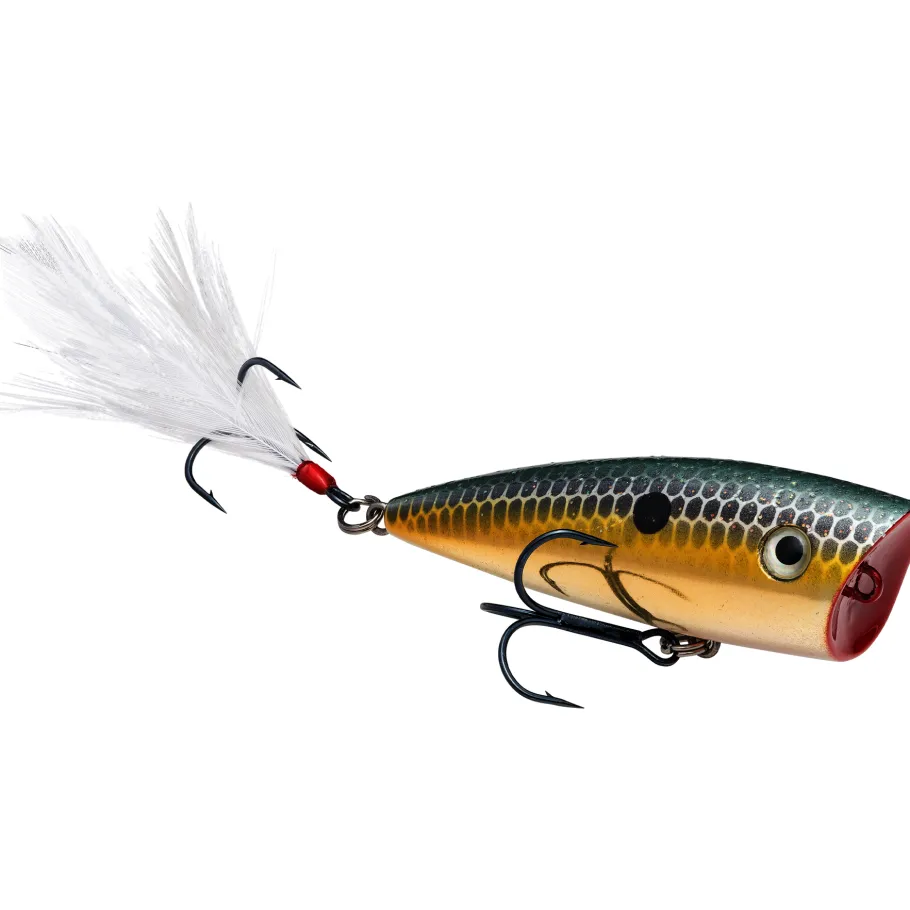 Strike King KVD Splash Jr Topwater| Hard Baits