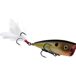 Strike King KVD Splash Jr Topwater| Hard Baits