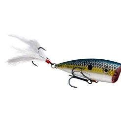 Strike King KVD Splash Jr Topwater| Hard Baits