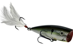 Strike King KVD Splash Topwater| Hard Baits