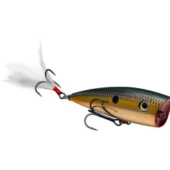 Strike King KVD Splash Topwater| Hard Baits