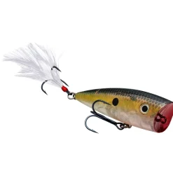 Strike King KVD Splash Topwater| Hard Baits