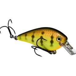 Strike King KVD Squarebill 1.0 Crankbait| Hard Baits