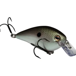 Strike King KVD Squarebill 1.5 Crankbait| Hard Baits