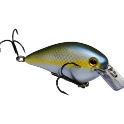 Strike King KVD Squarebill 1.5 Crankbait| Hard Baits
