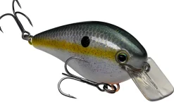 Strike King KVD Squarebill 1.5 Hard Knock Crankbait| Hard Baits
