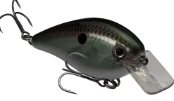 Strike King KVD Squarebill 1.5 Hard Knock Crankbait| Hard Baits