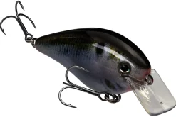 Strike King KVD Squarebill 1.5 Hard Knock Crankbait| Hard Baits