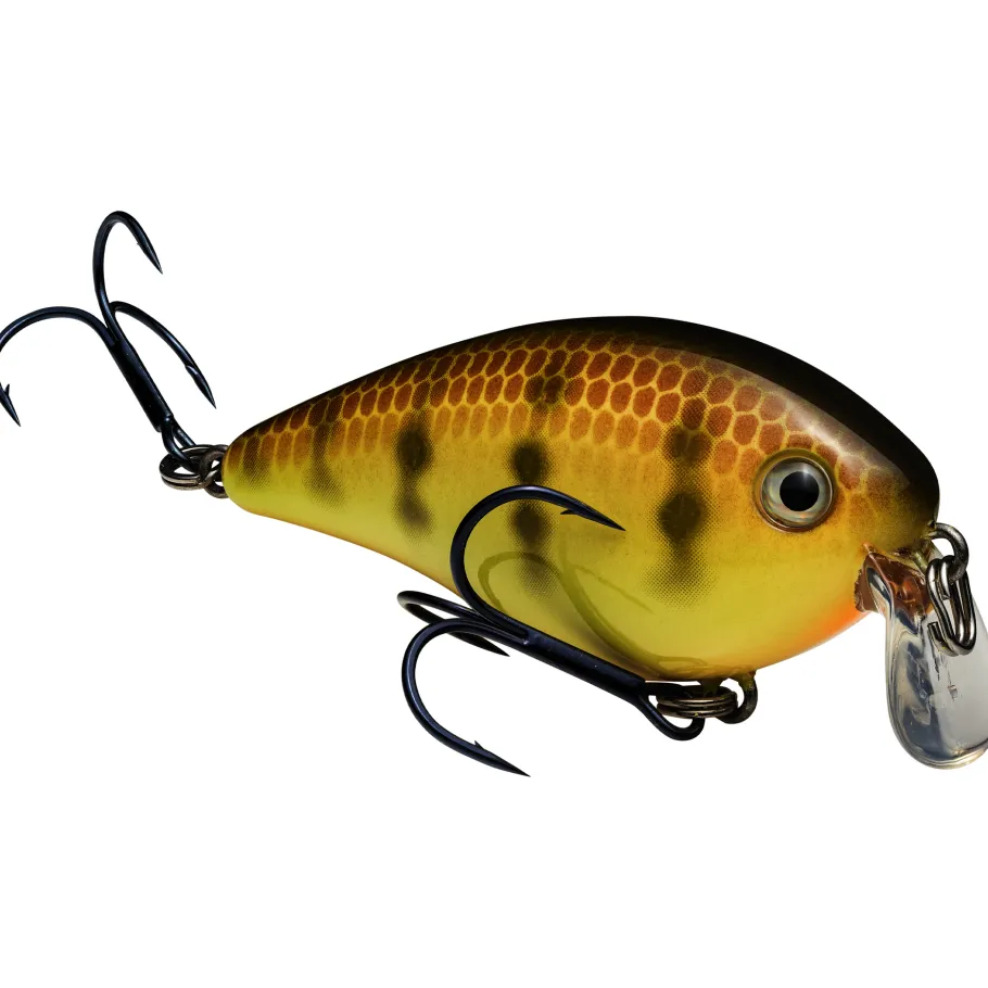 Strike King KVD Squarebill 1.5 Shallow Crankbait| Hard Baits