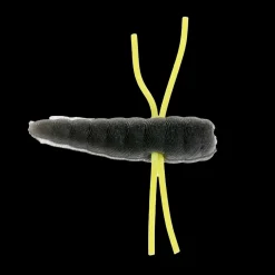 Strike King Maxie Waxie| Soft Baits