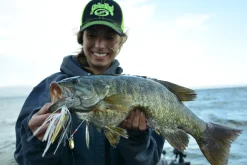 Strike King Premier Plus Spinnerbait| Wire Baits