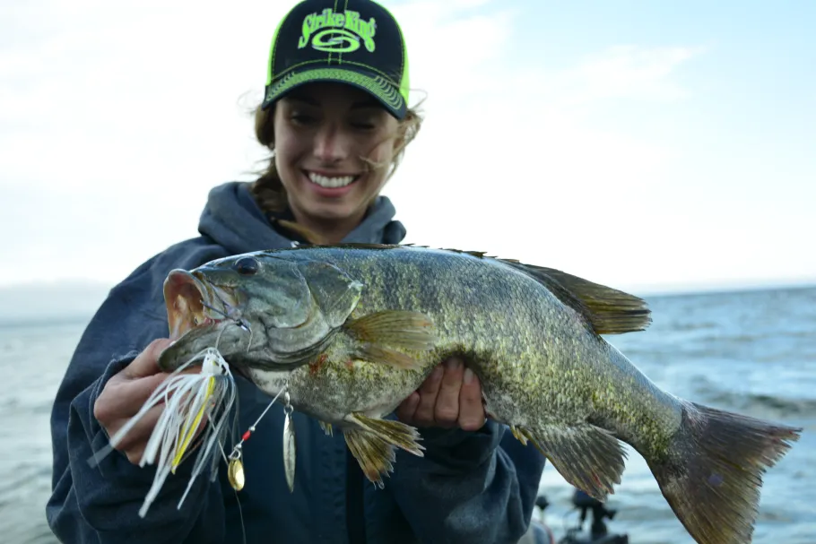 Strike King Premier Plus Spinnerbait| Wire Baits