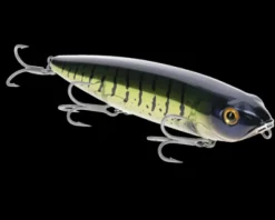 Strike King Sexy Dawg Hard Knock Saltwater| Hard Baits|Saltwater