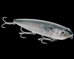 Strike King Sexy Dawg Hard Knock Saltwater| Hard Baits|Saltwater