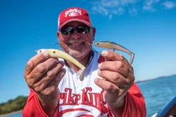 Strike King Shadalicious Swimbait| Soft Baits