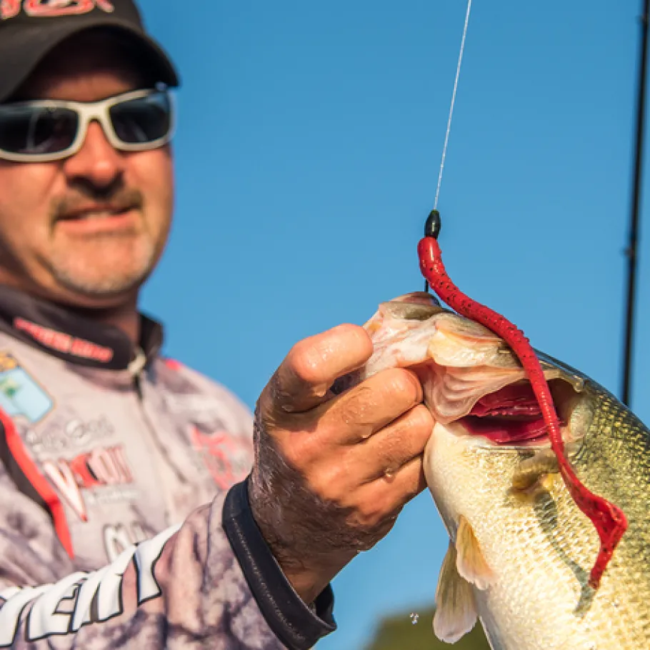 Strike King Tour Grade Tungsten Bullet Weight| Terminal Tackle